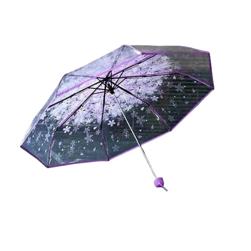 شمسية شفافة